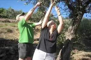 Gokpinar Country * Mumcular