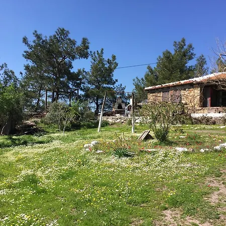 Εξοχικό σπίτι Gokpinar Country