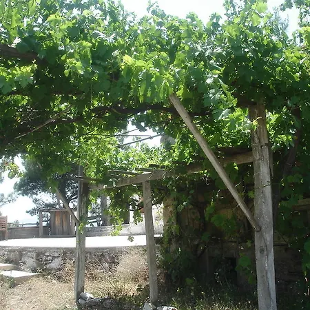 Country house Gokpinar Country